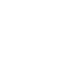 seta